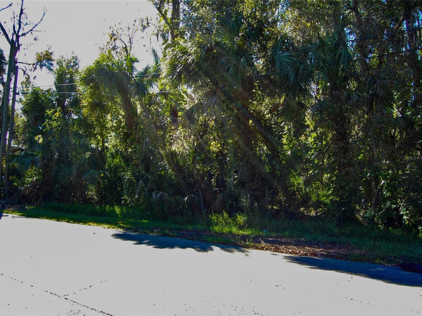 332 PATRICIA DR, NEW SMYRNA BEACH, FL — photo 4