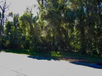 332 PATRICIA DR — photo 4