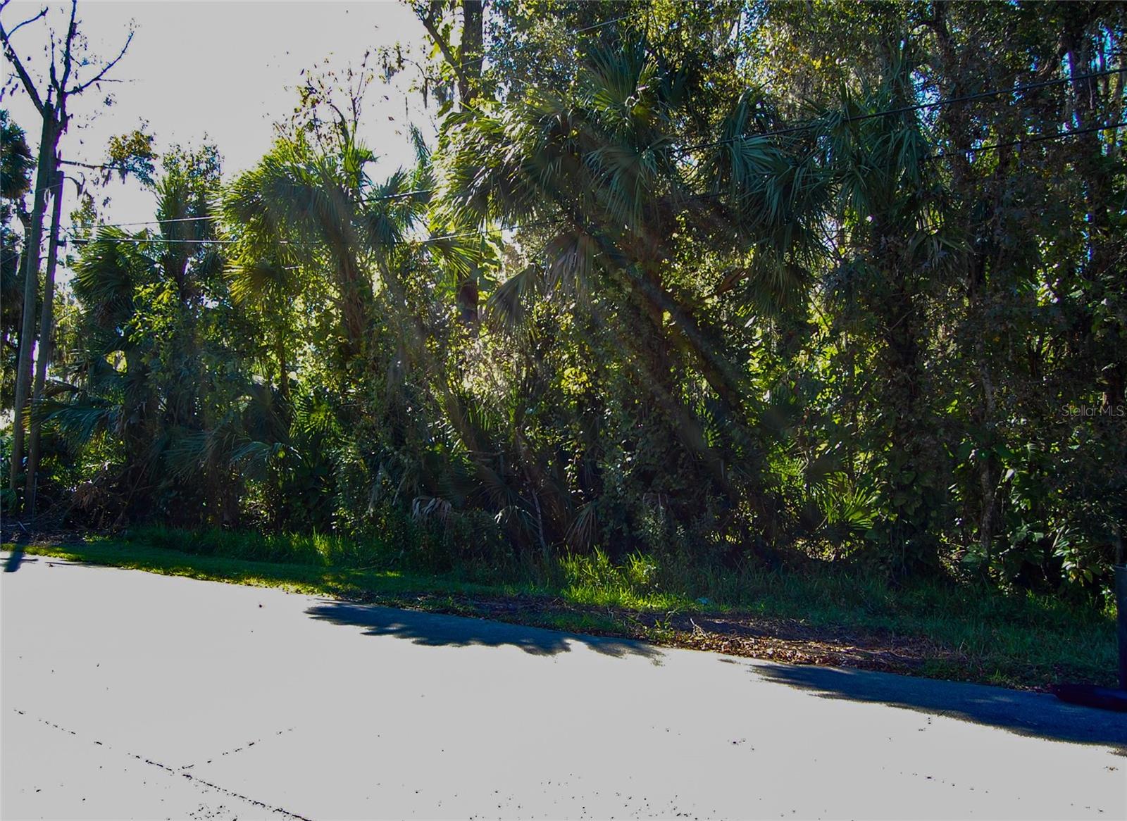 332 PATRICIA DR, NEW SMYRNA BEACH, FL — photo 3
