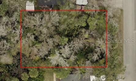 332 PATRICIA DR, NEW SMYRNA BEACH, FL — photo 5