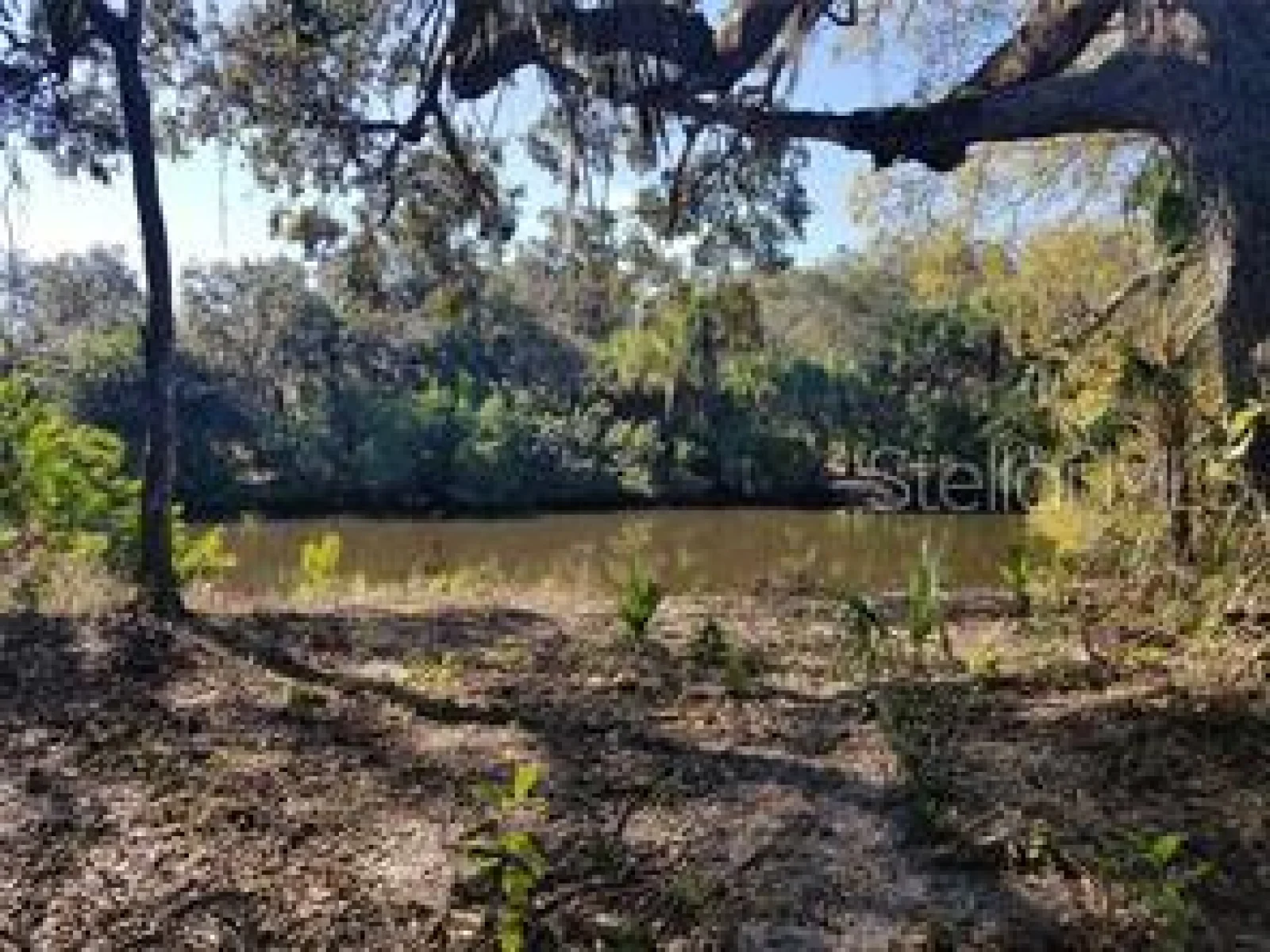 27401 NEAPTIDE DR, PUNTA GORDA, FL — photo 24