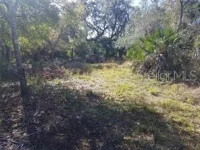 27401 NEAPTIDE DR — photo 30
