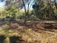 27401 NEAPTIDE DR — photo 32