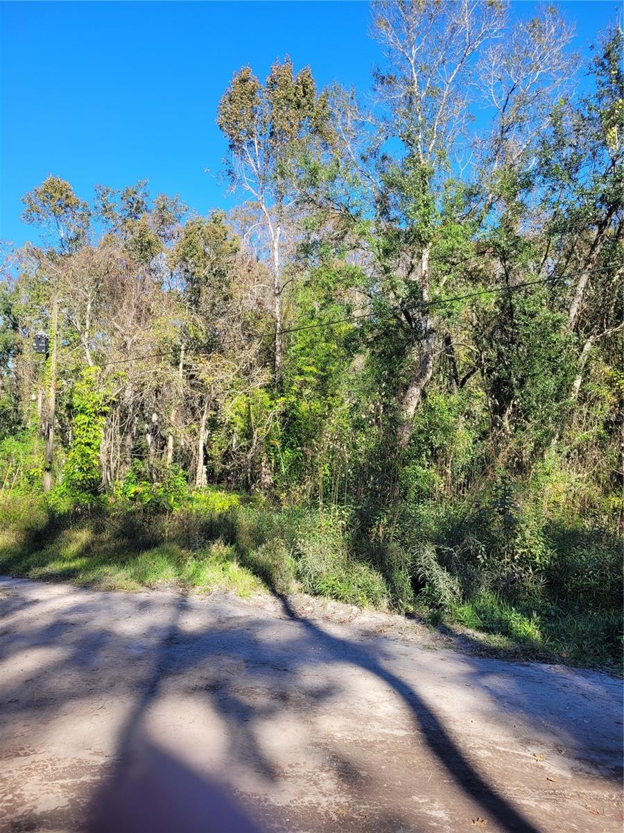 MORENA ST #5, NEW PORT RICHEY, FL