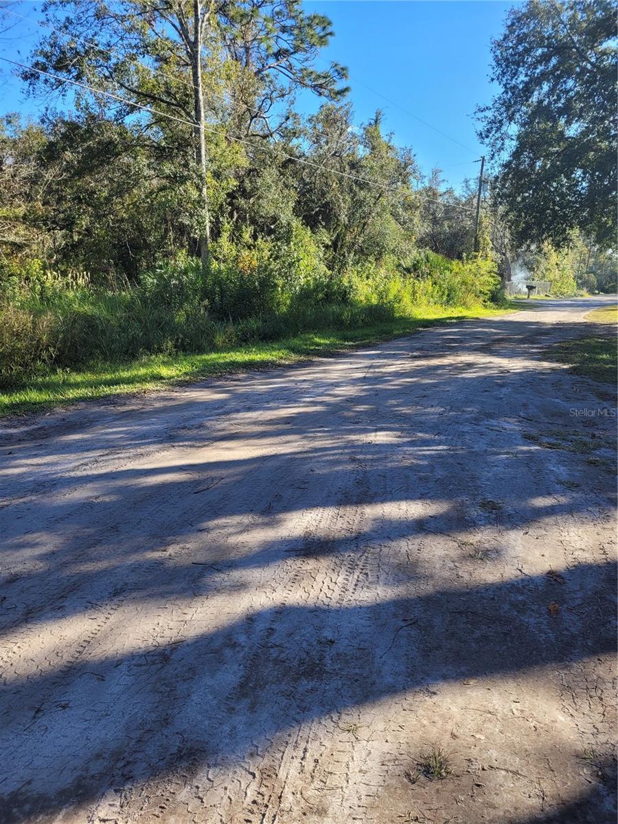 MORENA ST #5, NEW PORT RICHEY, FL — photo 3