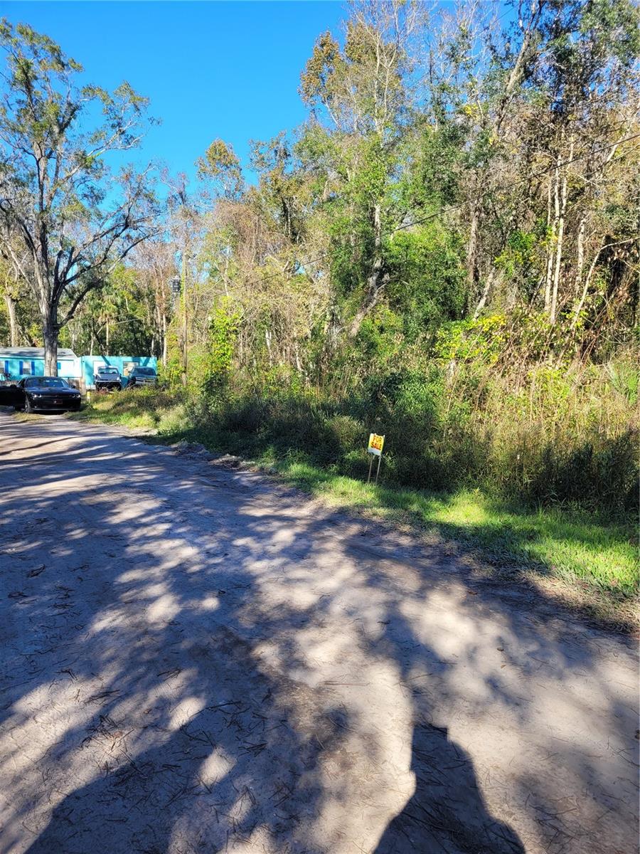 MORENA ST #5, NEW PORT RICHEY, FL — photo 5