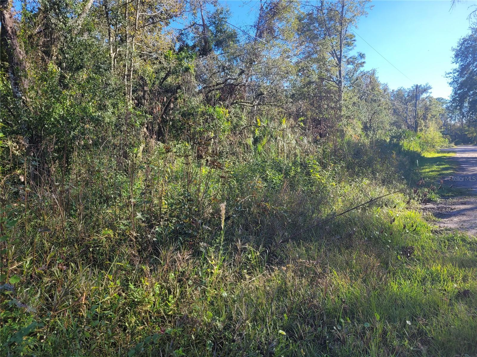 MORENA ST #5, NEW PORT RICHEY, FL — photo 7