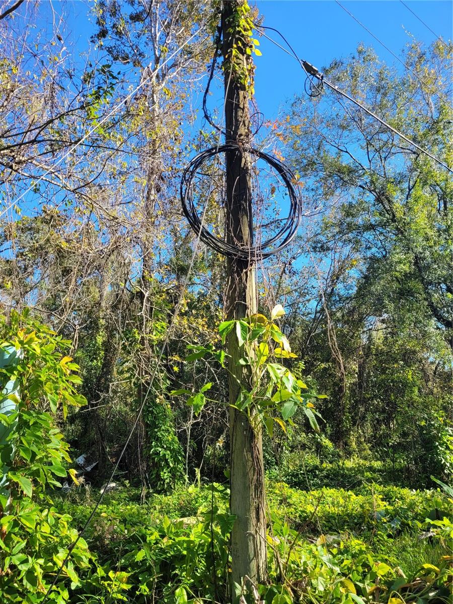 MORENA ST #5, NEW PORT RICHEY, FL — photo 10