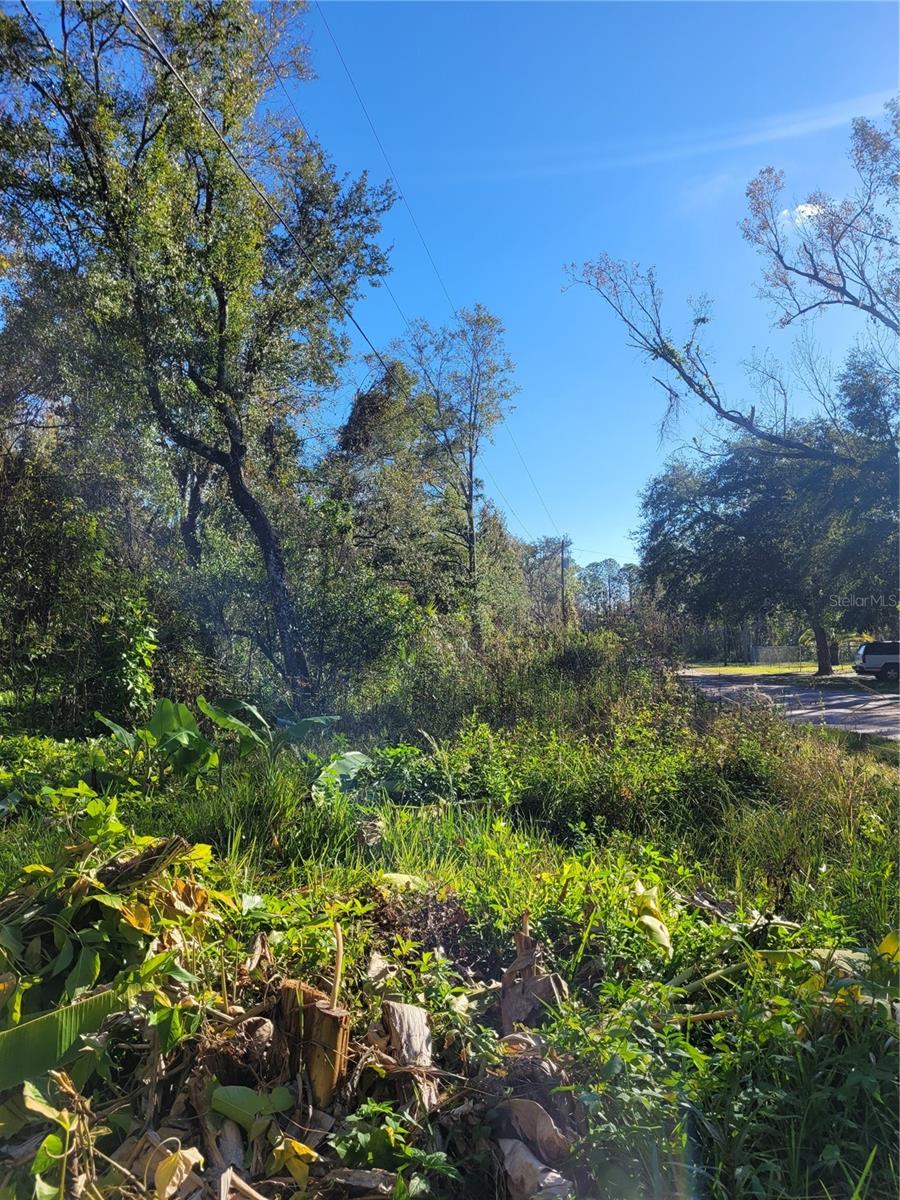 MORENA ST #5, NEW PORT RICHEY, FL — photo 12