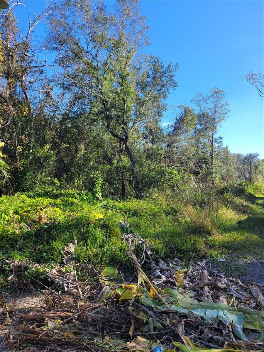 MORENA ST #5, NEW PORT RICHEY, FL — photo 14