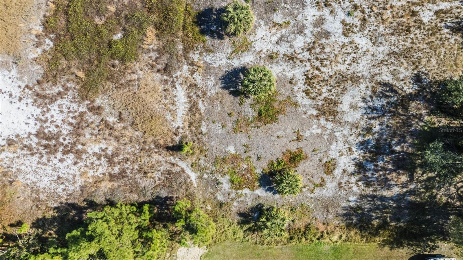 2322 CALIOPE DR, PUNTA GORDA, FL — photo 5