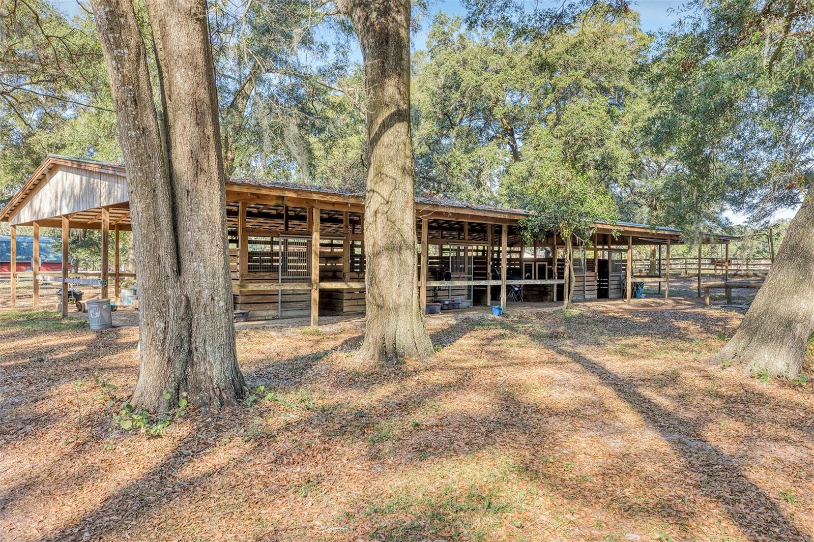 208 NE 70TH ST, OCALA, FL — photo 12