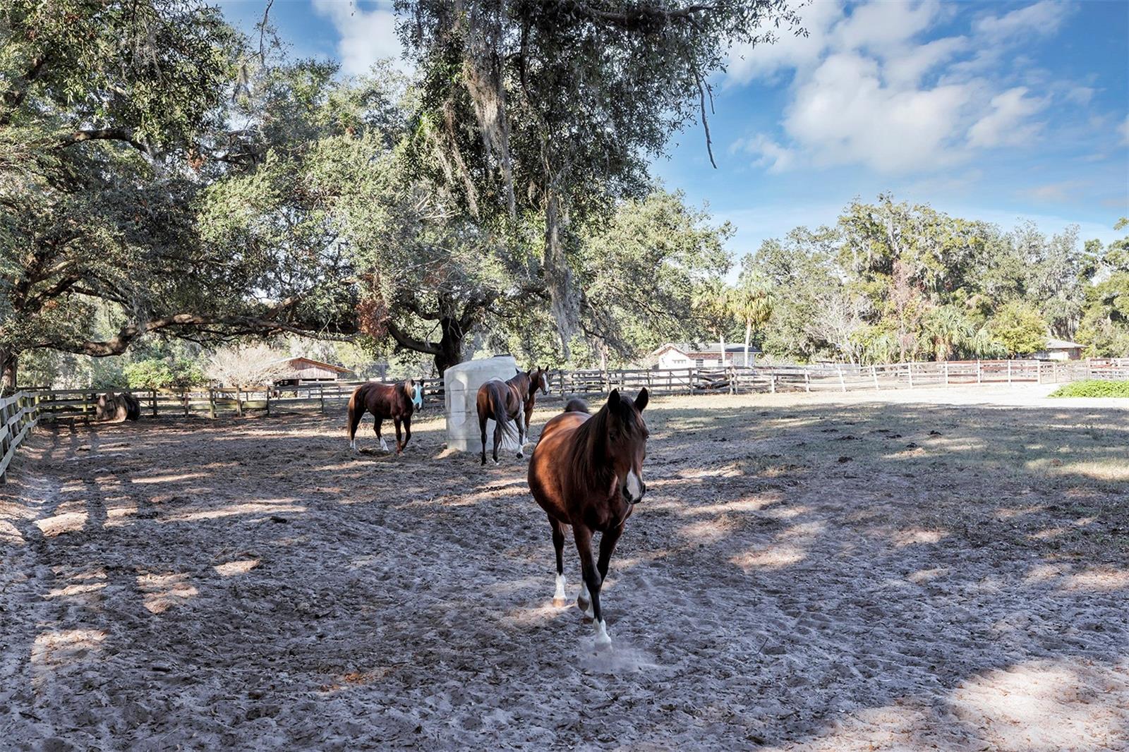 208 NE 70TH ST, OCALA, FL — photo 17