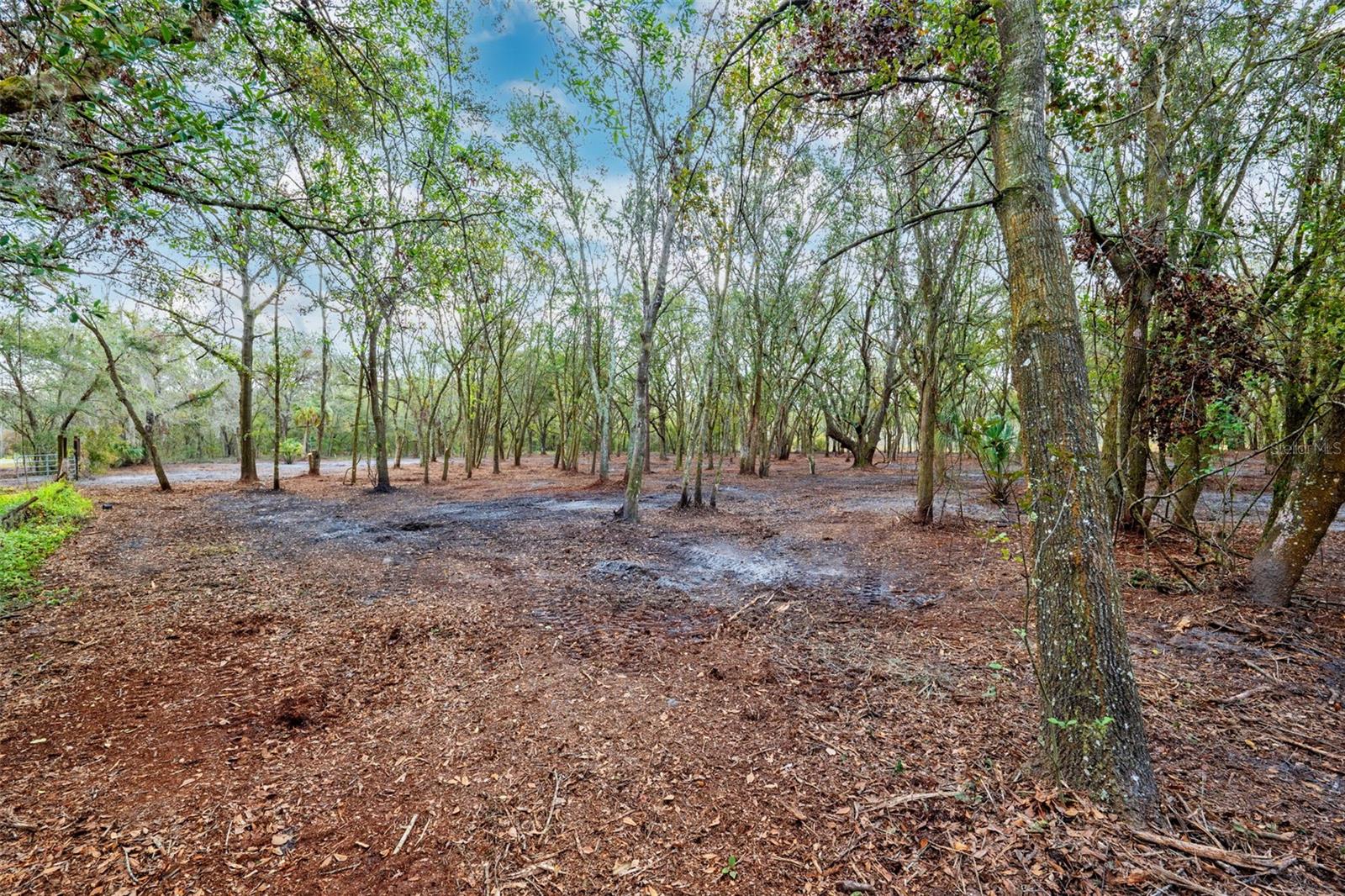 JUSTIN LN, PLANT CITY, FL — photo 3