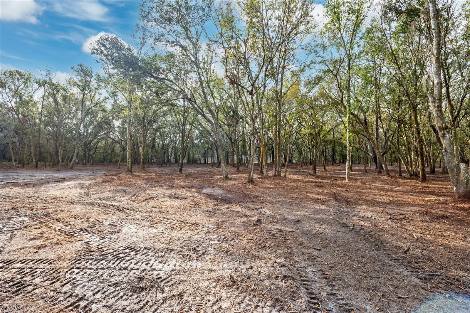 JUSTIN LN, PLANT CITY, FL — photo 5