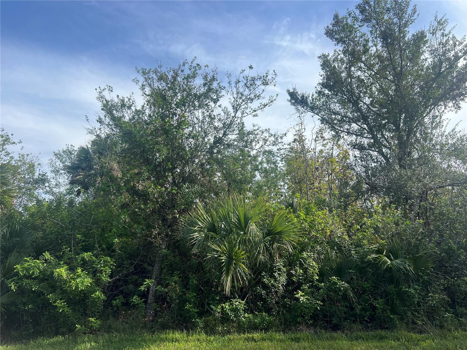 7168 LIPPMAN RD, PORT CHARLOTTE, FL — photo 5