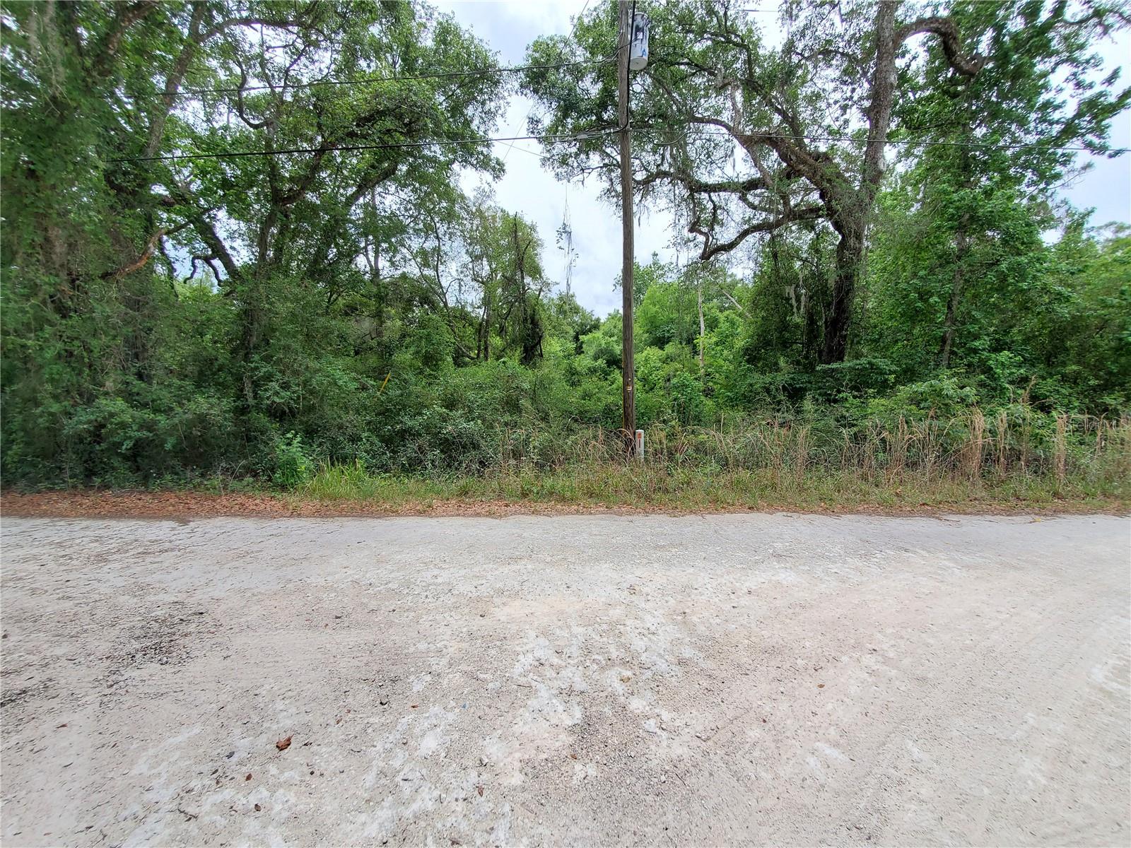 RINGWALT DR, DADE CITY, FL — photo 9