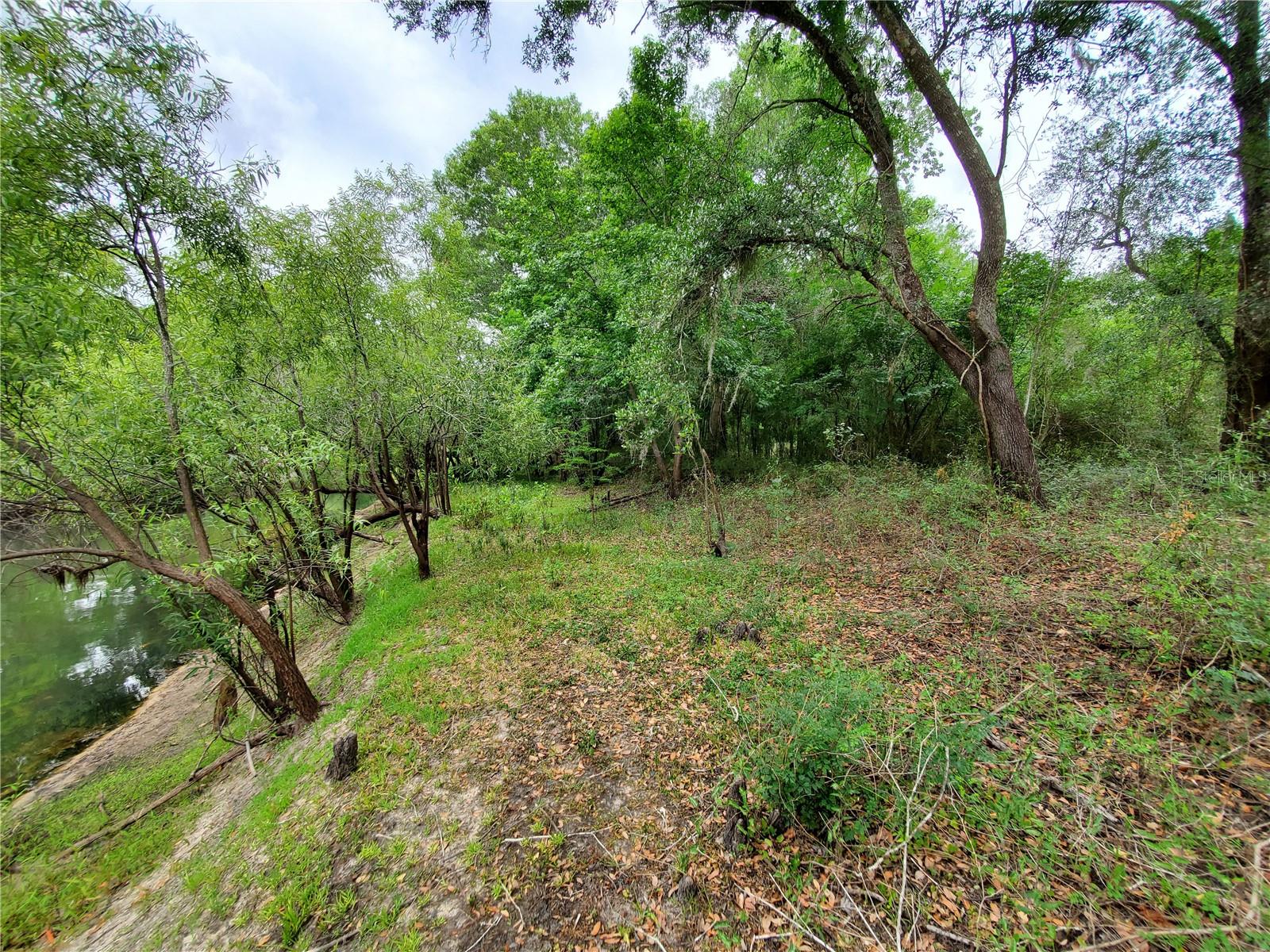 RINGWALT DR, DADE CITY, FL — photo 11
