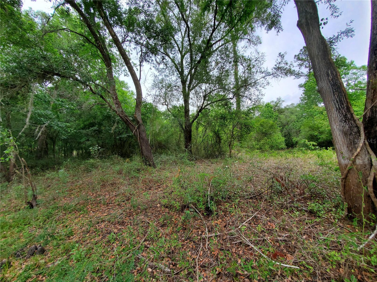 RINGWALT DR, DADE CITY, FL — photo 12