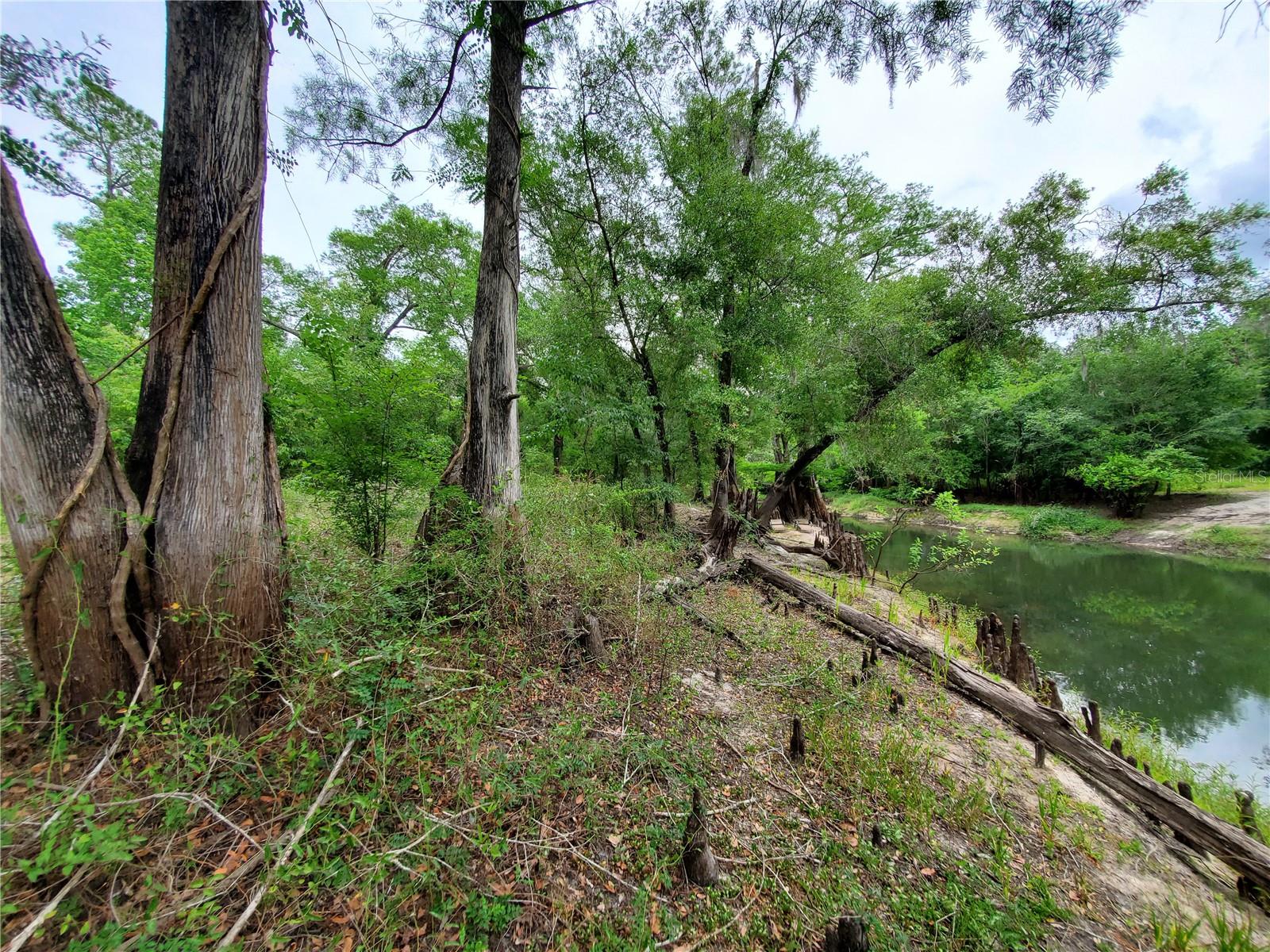 RINGWALT DR, DADE CITY, FL — photo 13