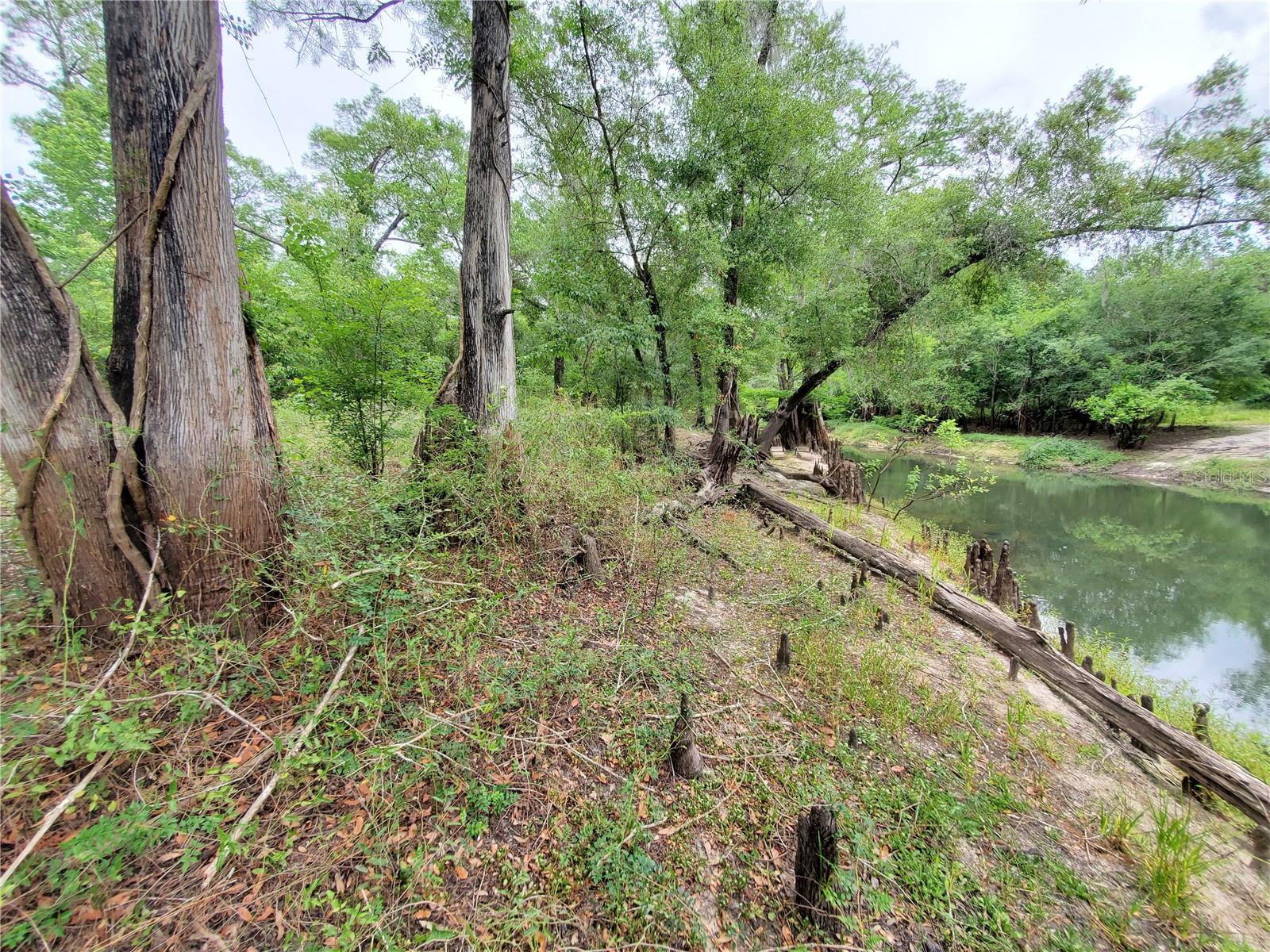 RINGWALT DR, DADE CITY, FL — photo 15