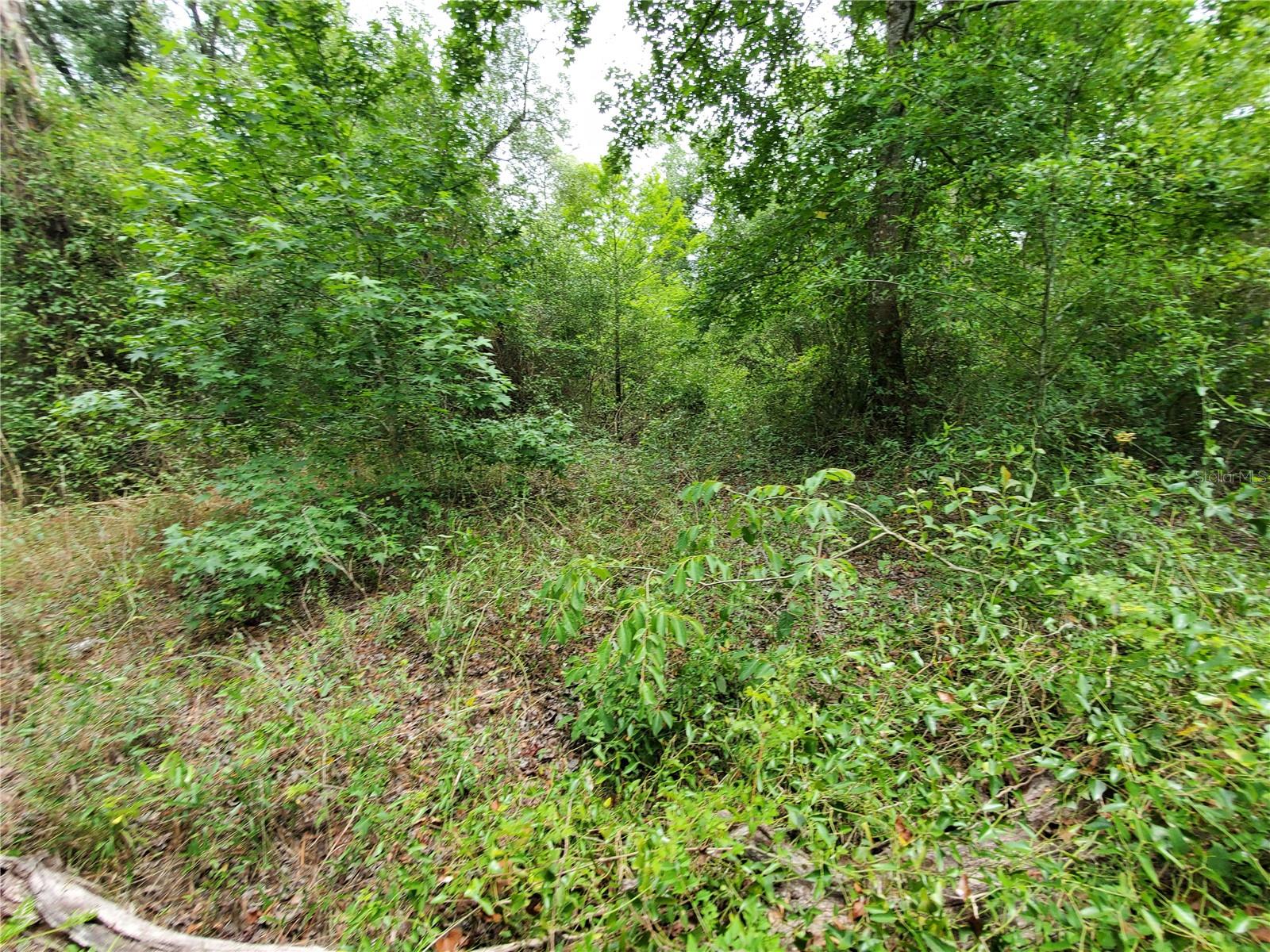 RINGWALT DR, DADE CITY, FL — photo 17