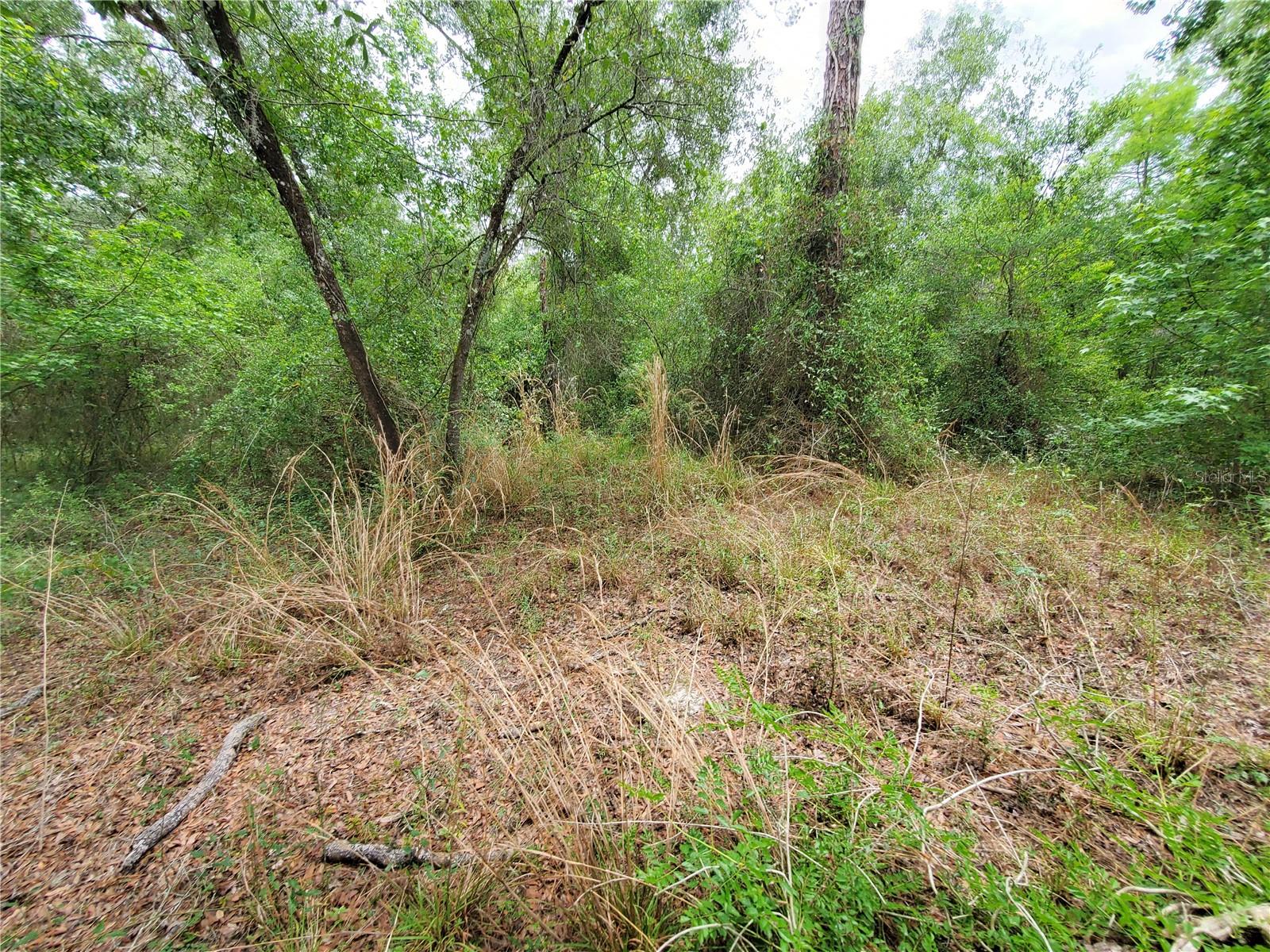RINGWALT DR, DADE CITY, FL — photo 18