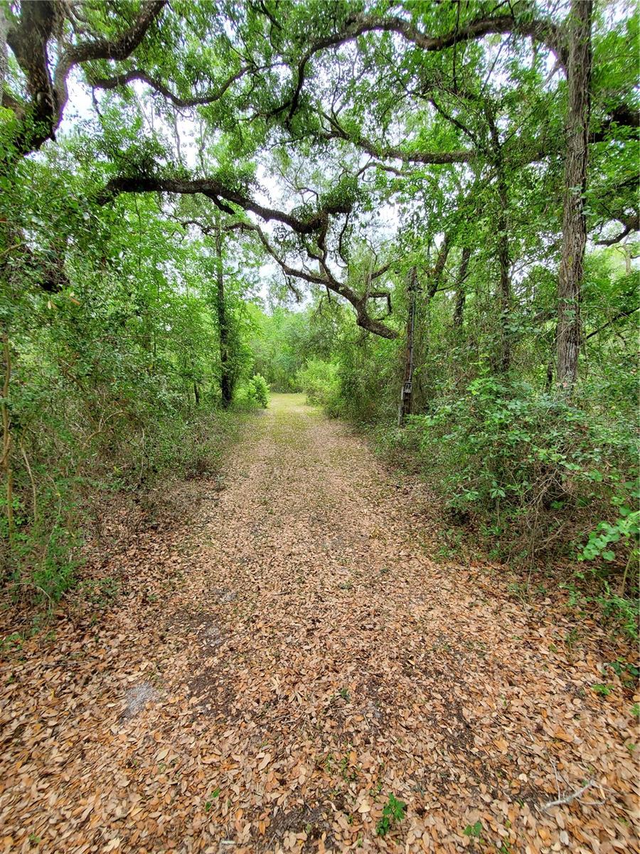 RINGWALT DR, DADE CITY, FL — photo 20