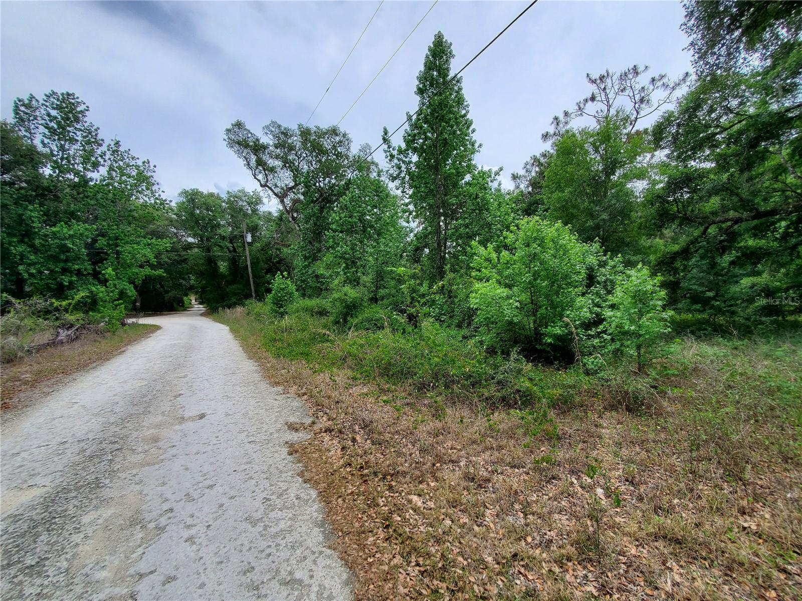 RINGWALT DR, DADE CITY, FL — photo 22