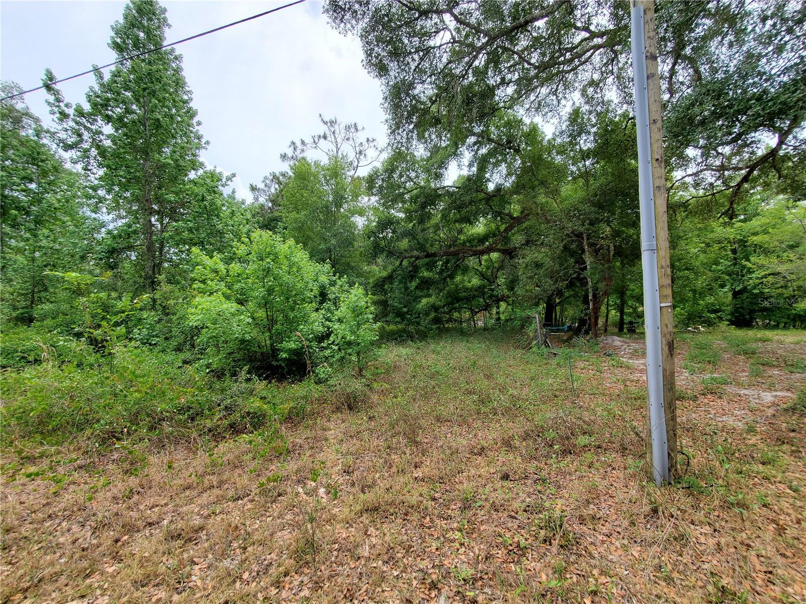 RINGWALT DR, DADE CITY, FL — photo 23