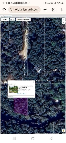 RINGWALT DR, DADE CITY, FL — photo 2