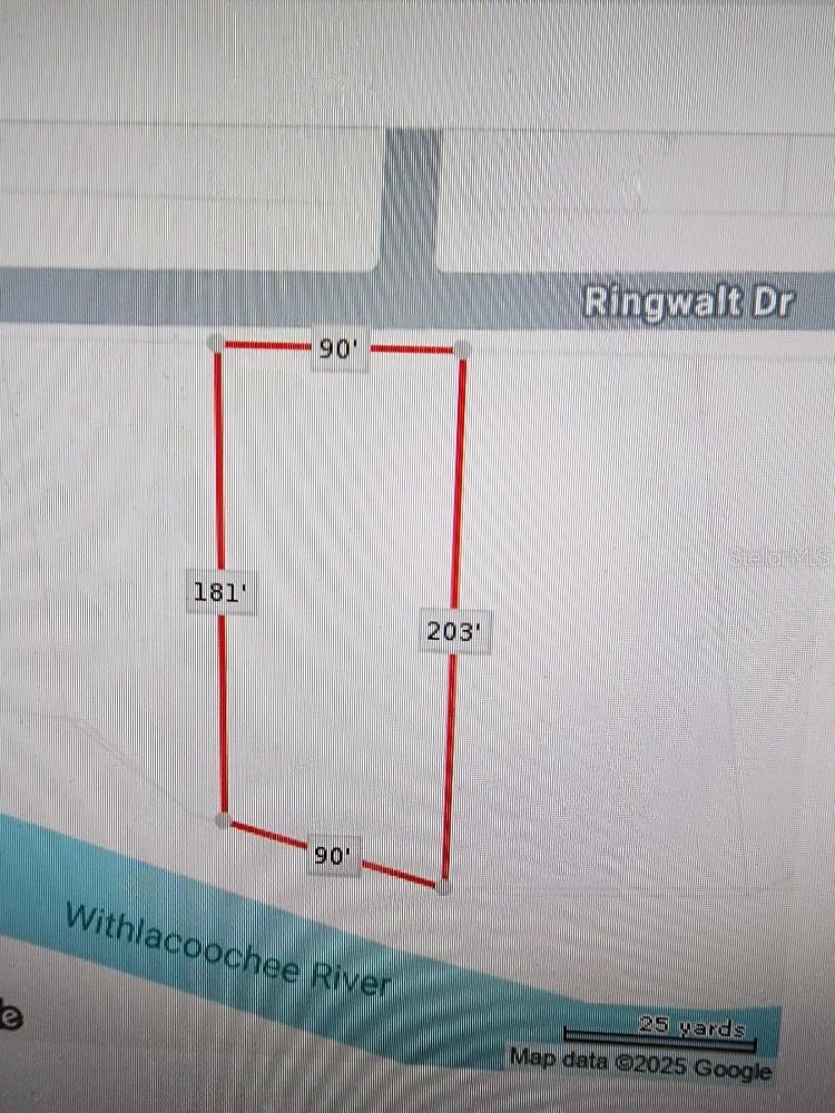 RINGWALT DR, DADE CITY, FL — photo 3