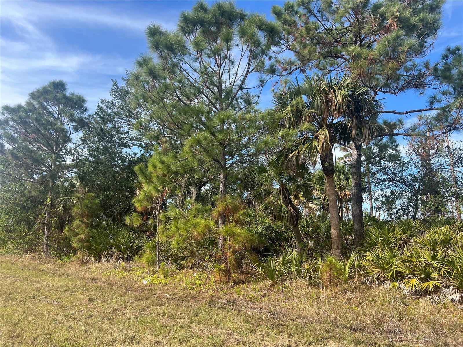 12222 GULFSTREAM BLVD, PORT CHARLOTTE, FL