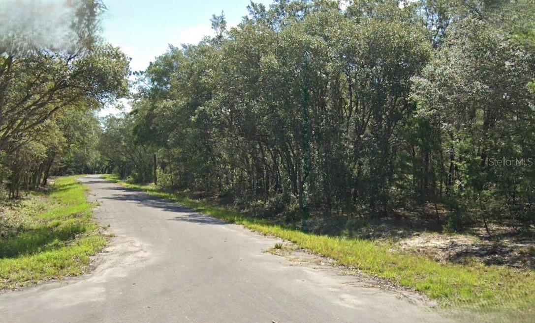 FISHER WAY DR, OCKLAWAHA, FL