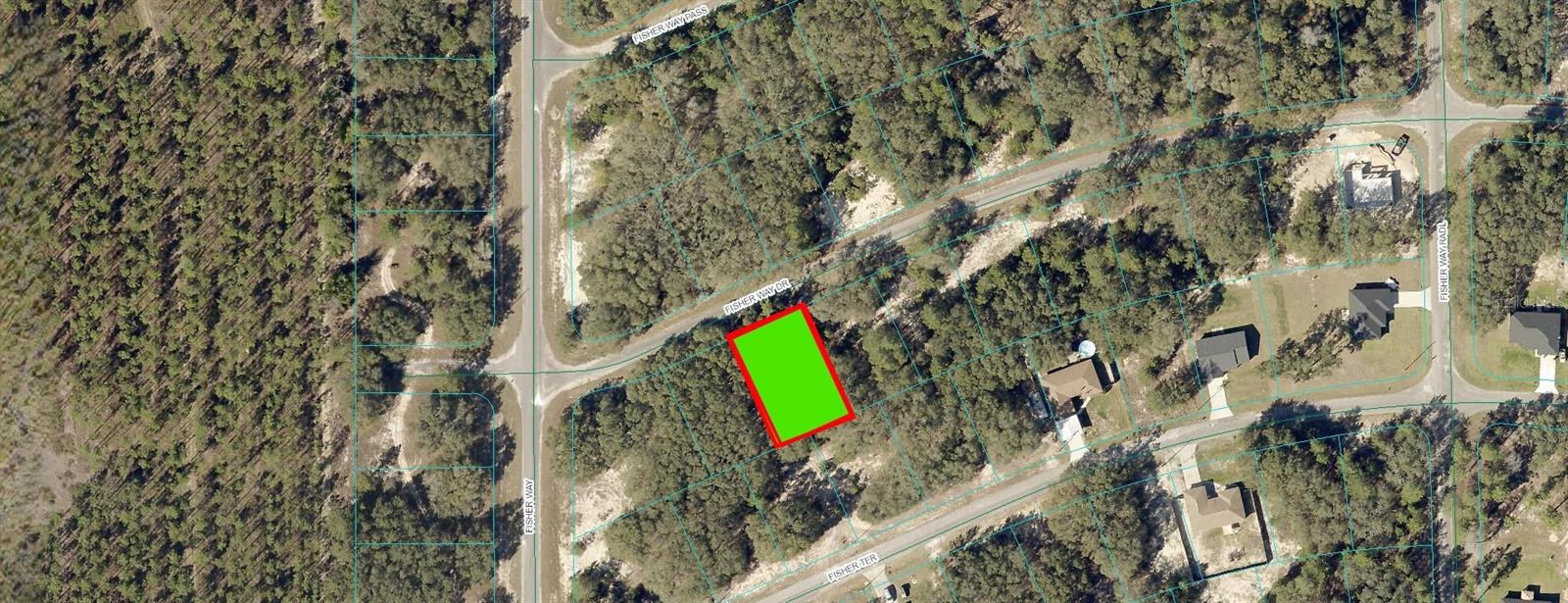 FISHER WAY DR, OCKLAWAHA, FL — photo 2