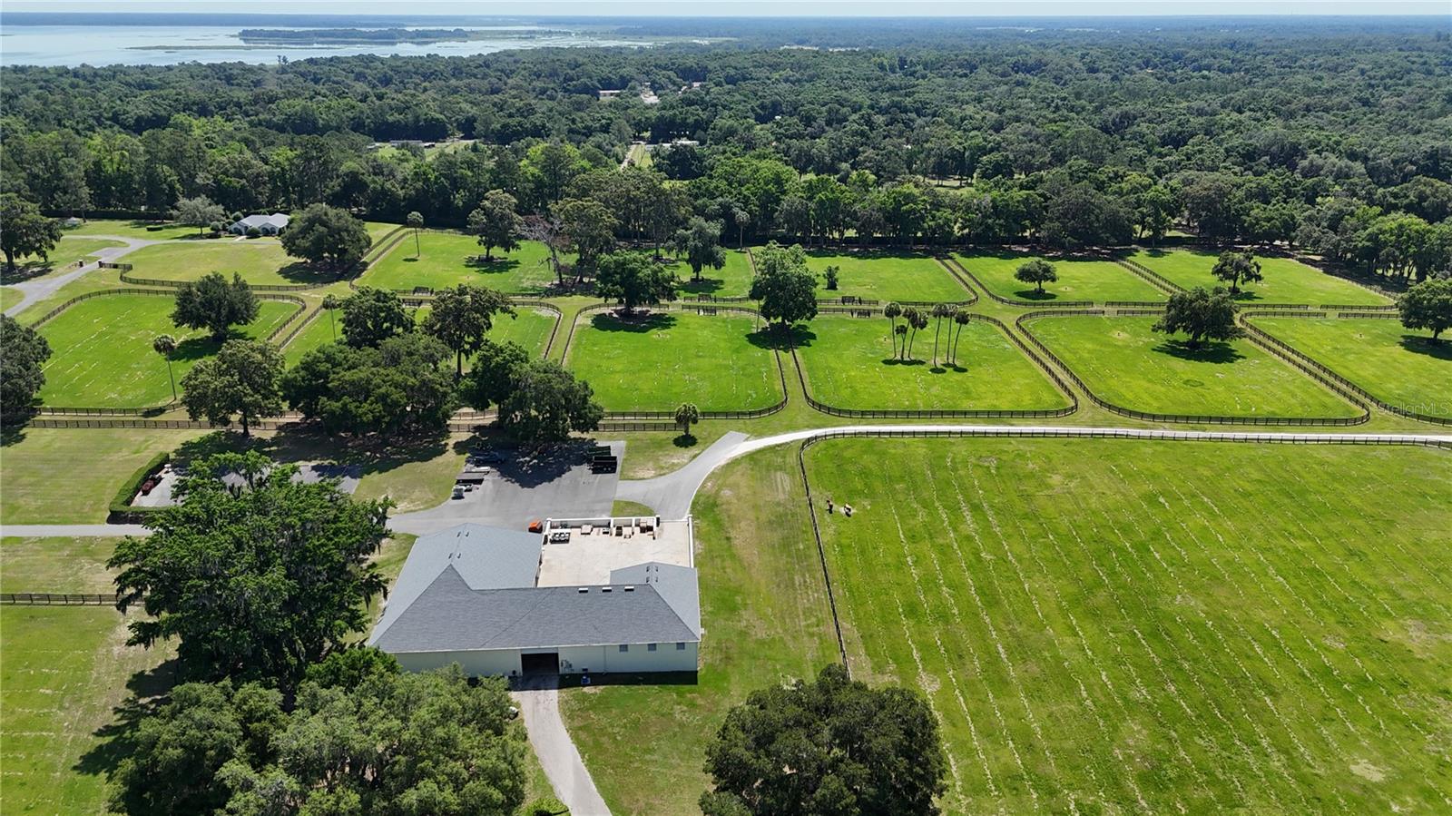 6500A NW 193RD ST #Option 1, MICANOPY, FL — photo 28