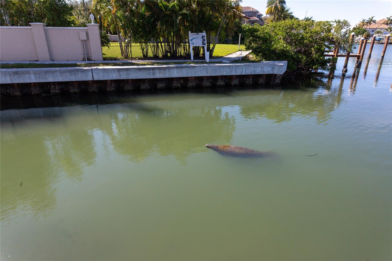 1709 N TAMIAMI TRL #215, SARASOTA, FL — photo 35