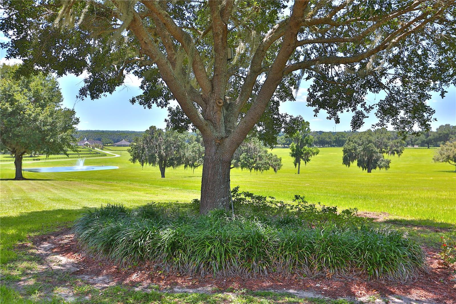 6800 & 6500 NW 193RD ST, MICANOPY, FL — photo 20