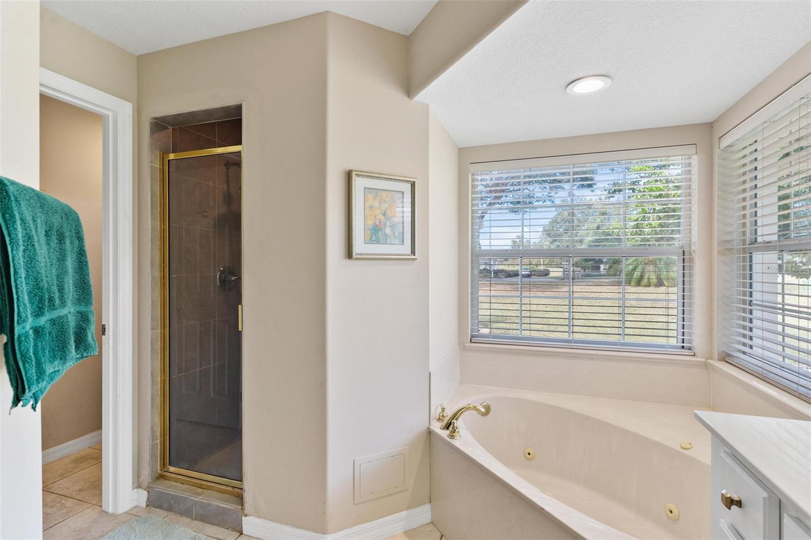 39320 HARBOR HILLS BLVD, LADY LAKE, FL — photo 48