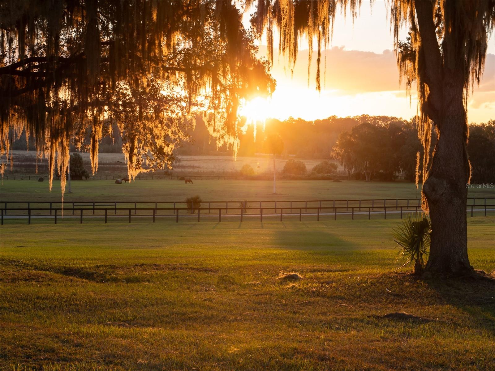 9001 NW 200TH STREET RD, MICANOPY, FL — photo 32