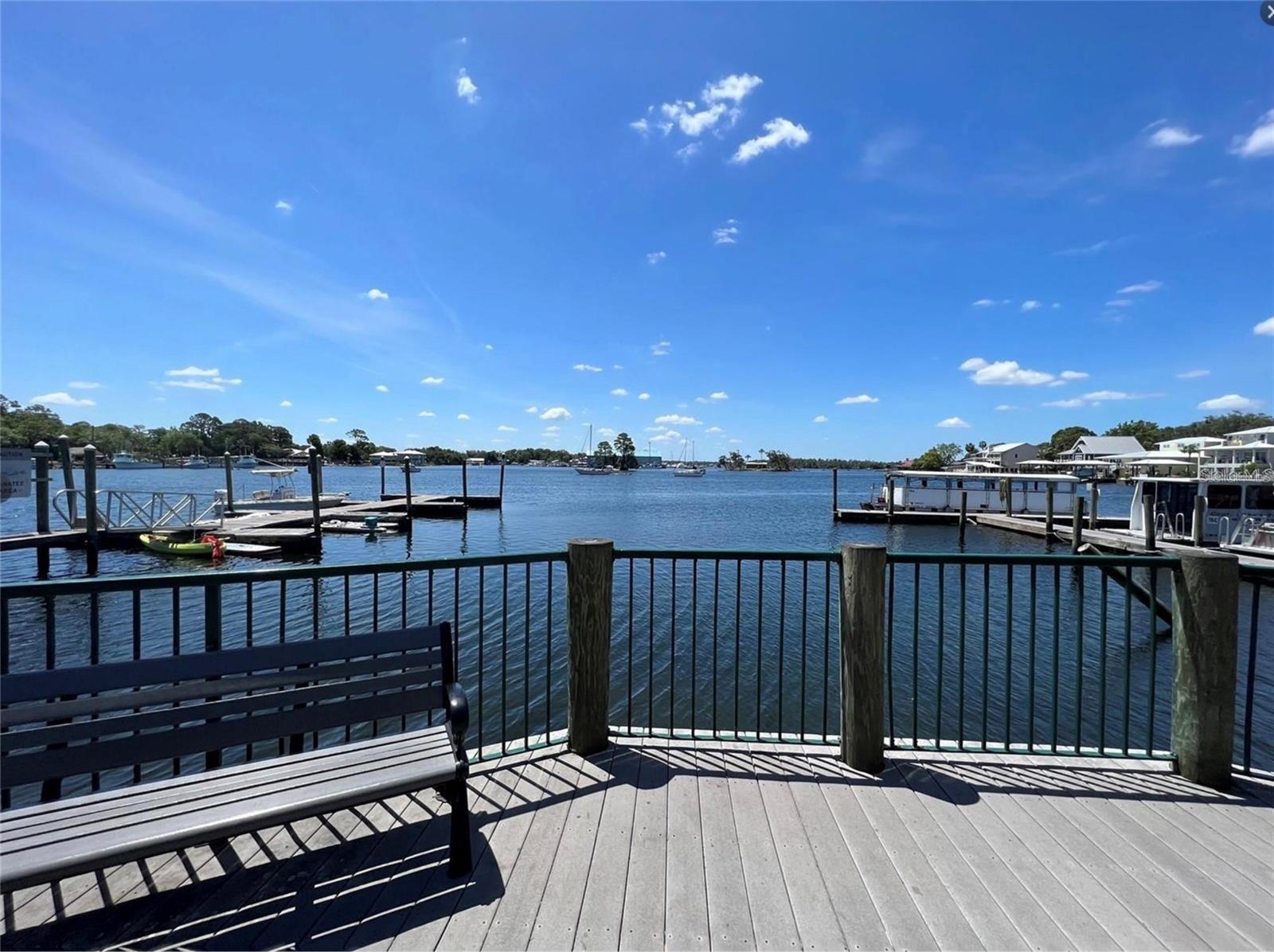 5230 N WHETSTONE PT, CRYSTAL RIVER, FL — photo 26
