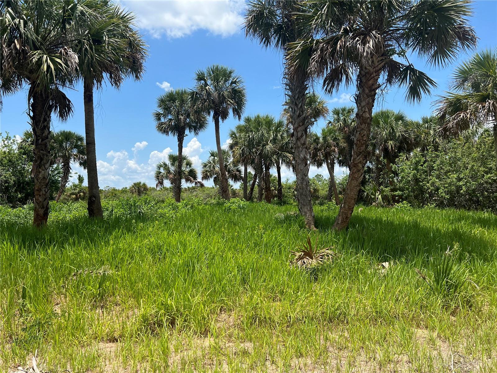 3026 SAGE AVE SW, PALM BAY, FL