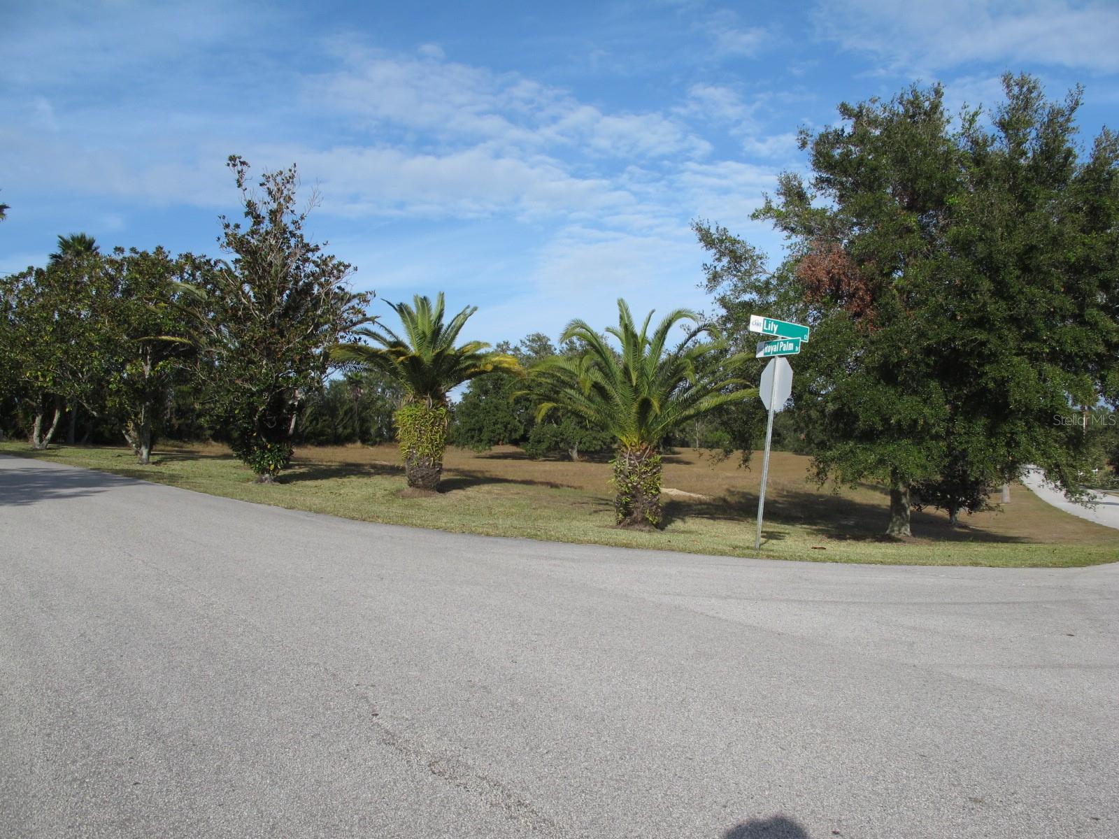 17200 ROYAL PALM DR, GROVELAND, FL — photo 5