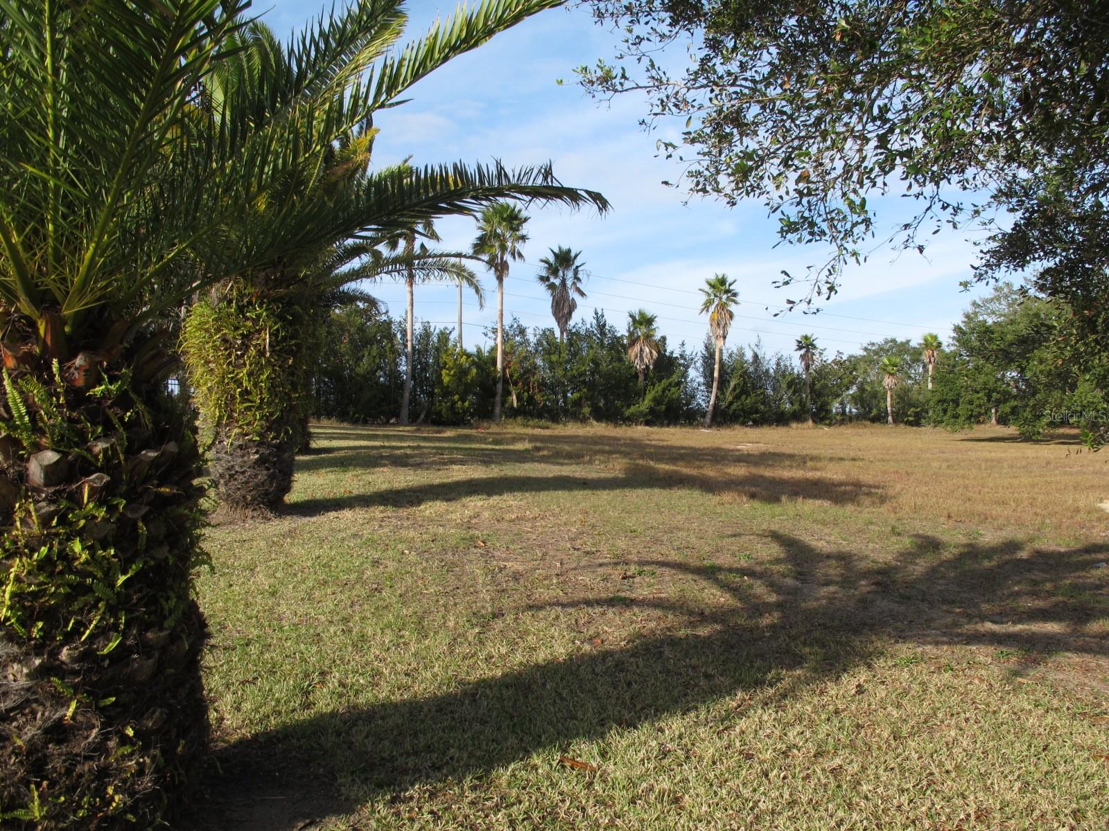 17200 ROYAL PALM DR, GROVELAND, FL — photo 8