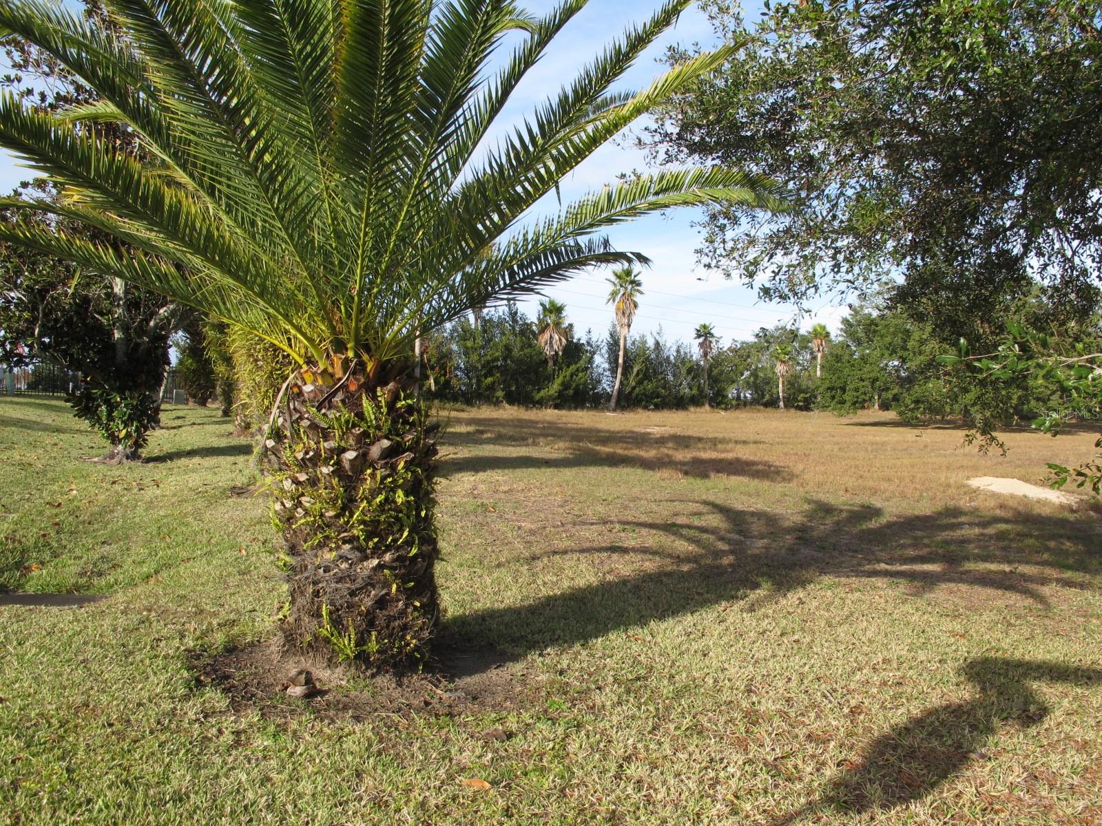 17200 ROYAL PALM DR, GROVELAND, FL — photo 9