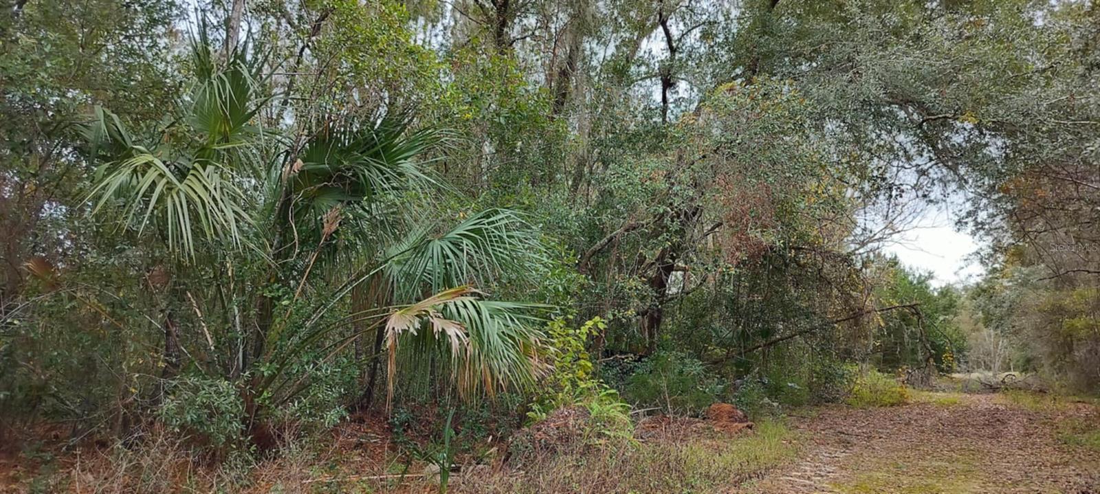 965 S SALLY TER, INVERNESS, FL — photo 2