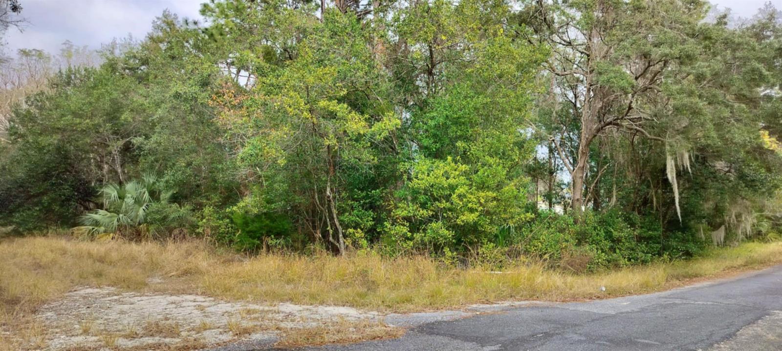 965 S SALLY TER, INVERNESS, FL — photo 3