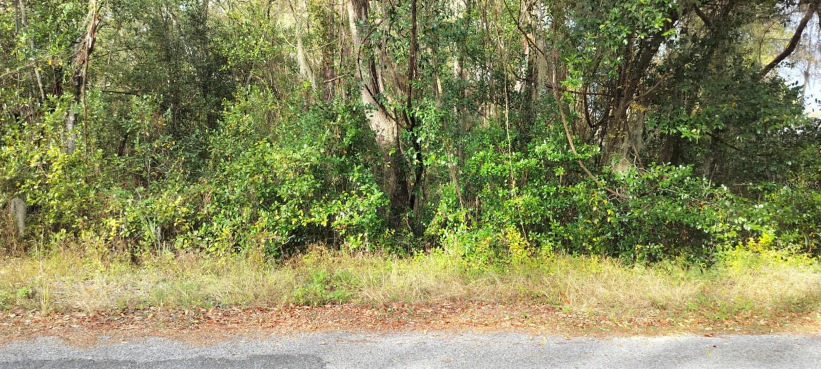 965 S SALLY TER, INVERNESS, FL — photo 5