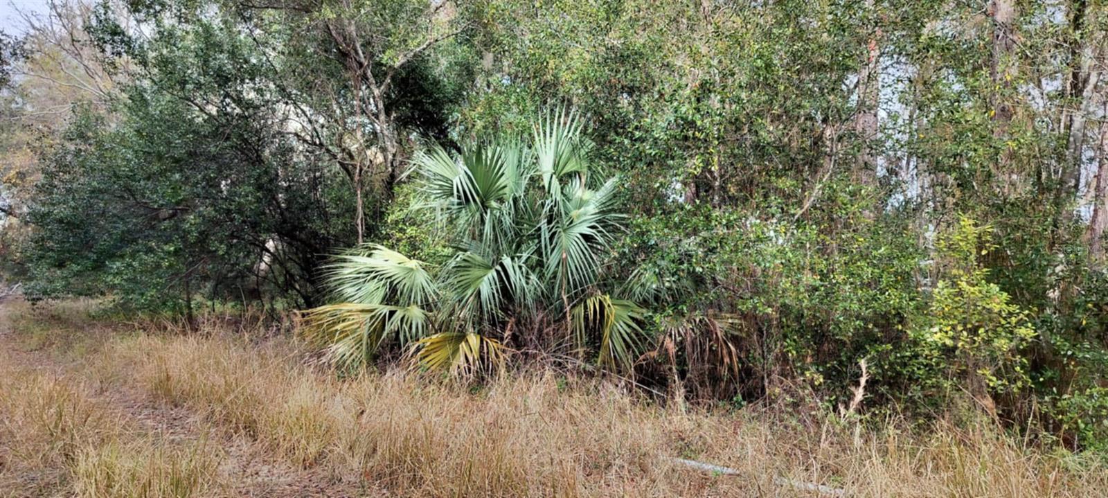 965 S SALLY TER, INVERNESS, FL — photo 7