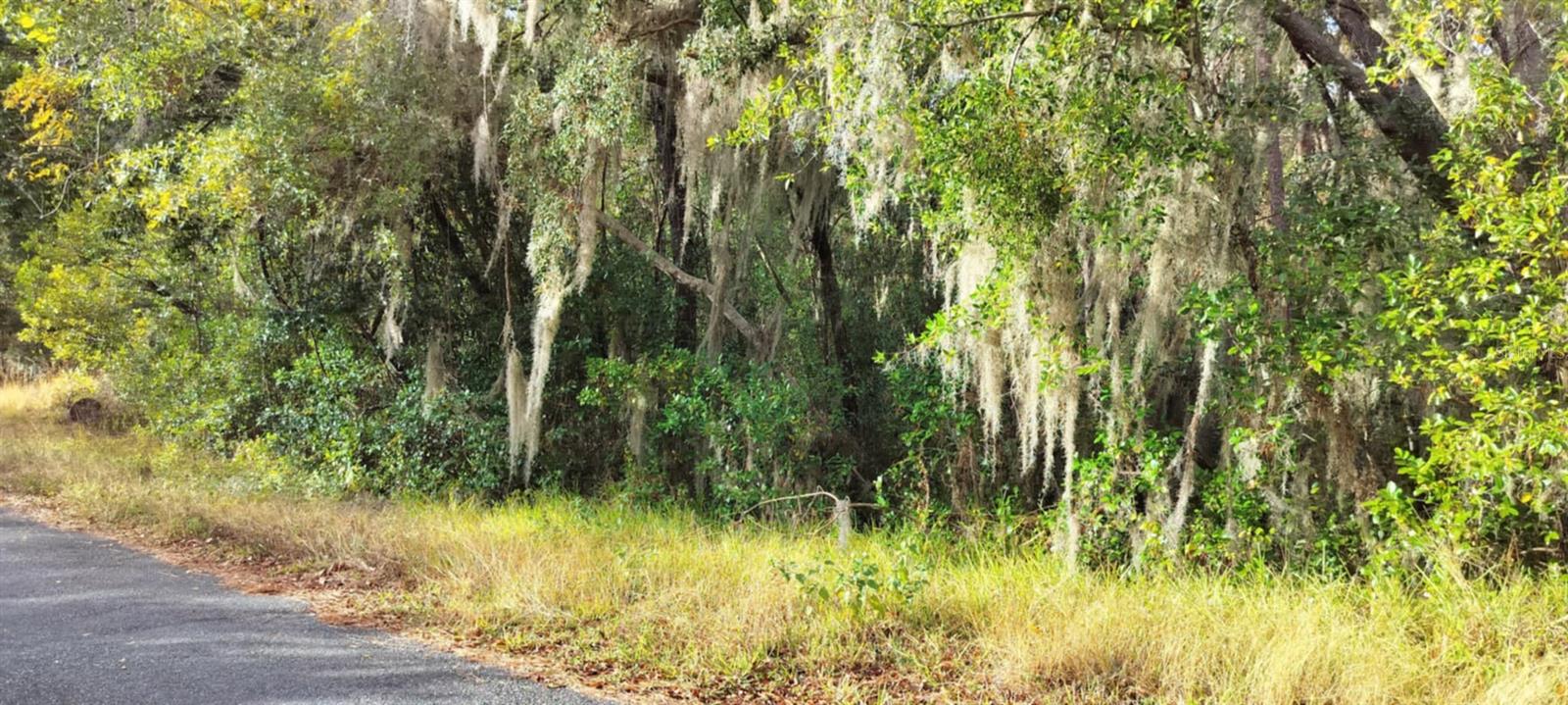965 S SALLY TER, INVERNESS, FL — photo 8